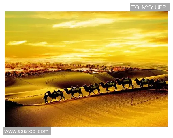 马盖蒂的魅力与挑战探秘：一座城市的文化与经济发展之路