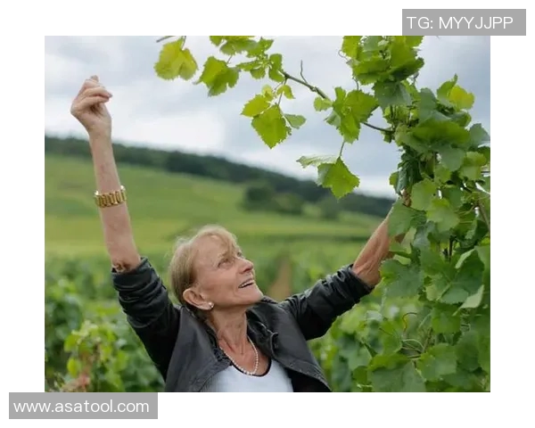 琼斯的传奇人生与奋斗历程揭示了成功背后的坚持与勇气