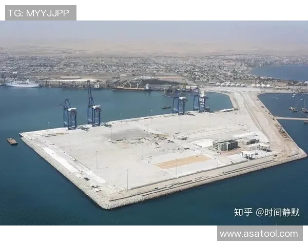 赖斯的外交智慧与全球政治格局的深刻影响分析